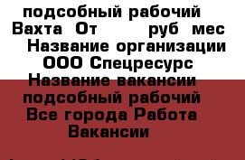 подсобный рабочий . Вахта. От 30 000 руб./мес. › Название организации ­ ООО Спецресурс › Название вакансии ­ подсобный рабочий - Все города Работа » Вакансии   